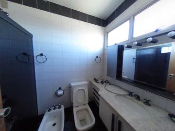 Alugar Apartamento / Padrao em Pradópolis R$ 350,00 - Foto 70 Alugar Apartamento / Padrao em Pradópolis R$ 350,00 - Foto 70