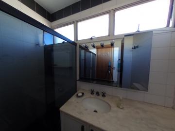 Alugar Apartamento / Padrao em Pradópolis R$ 350,00 - Foto 76 Alugar Apartamento / Padrao em Pradópolis R$ 350,00 - Foto 76