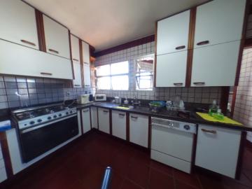 Alugar Apartamento / Padrao em Pradópolis R$ 350,00 - Foto 80 Alugar Apartamento / Padrao em Pradópolis R$ 350,00 - Foto 80