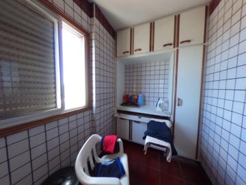 Alugar Apartamento / Padrao em Pradópolis R$ 350,00 - Foto 82 Alugar Apartamento / Padrao em Pradópolis R$ 350,00 - Foto 82