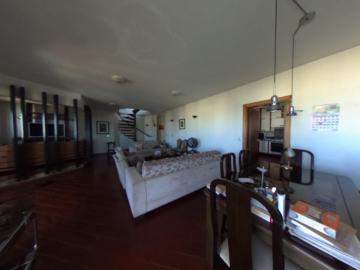 Alugar Apartamento / Padrao em Pradópolis R$ 350,00 - Foto 83 Alugar Apartamento / Padrao em Pradópolis R$ 350,00 - Foto 83